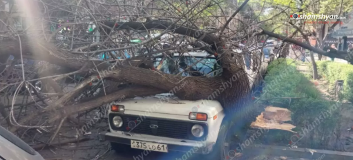 Արտակարգ դեպք՝ Երևանում․ հաստաբուն ծառը կոտրվել և ընկել է ավտոմեքենաների վրա