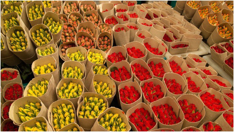 Россельхознадзо: Поставки цветов в РФ из Армении увеличились вдвое с начала 2024 года