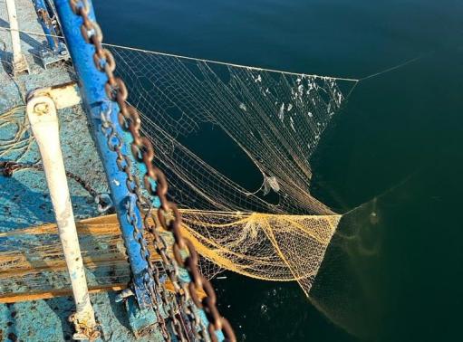 Արձանագրվել է 15 իրավախախտում․ Սևանա լճից դուրս է բերվել 174 տիրազուրկ ձկնորսական ցանցեր