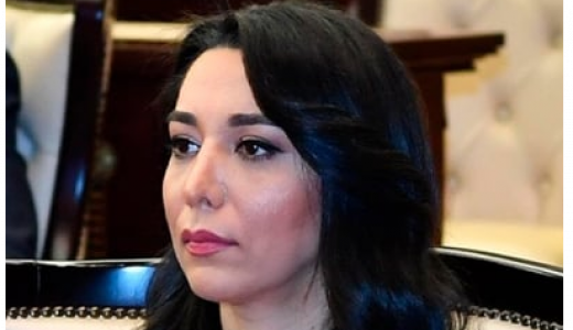«Հայաստանը պետք է մեզ փոխհատուցում վճարի». Ադրբեջանի մարդու իրավունքների հանձնակատար