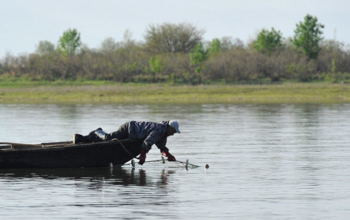 ԱԱԾ-ն բացահայտել է  Սևանա լճից շուրջ 127 տոննա ձկների ապօրինի արդյունահանման՝ տարիներ շարունակ մշակված և գործող հանցավոր սխեմա  