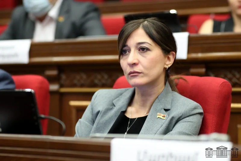 ՔՊ-ական պատգամավորների «արկածները» Վիեննայում. գինովցել են և ուշացել թռիչքից. «Փաստ»