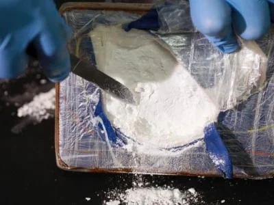 В Большом порту Петербурга изъяли более тонны кокаина