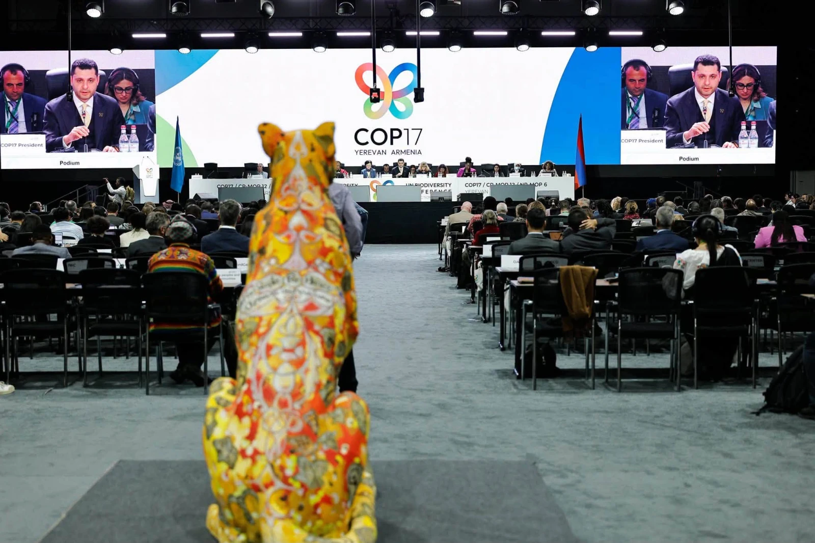 COP17-ում ամփոփվել է բանակցությունների առաջին հինգ օրերի առաջընթացը