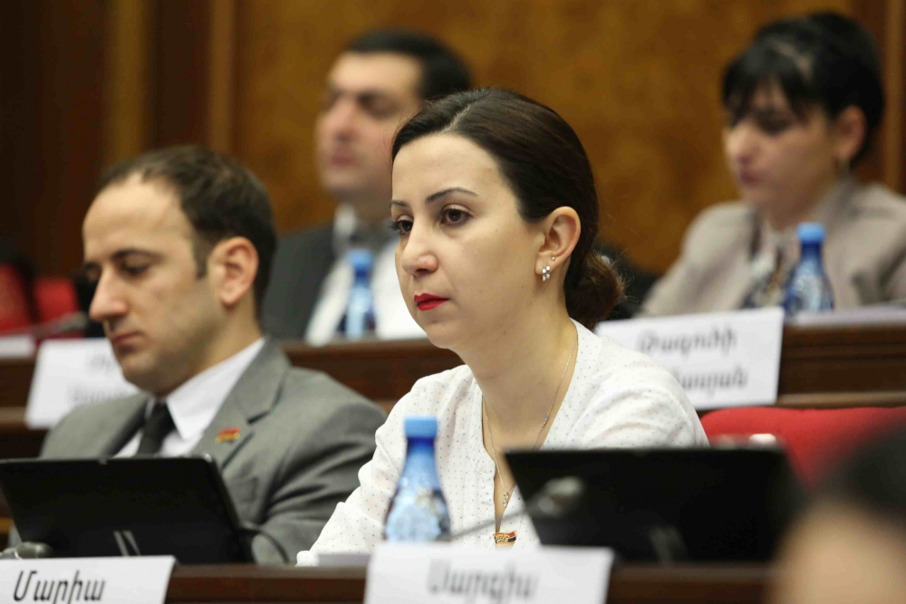 Մարիա Կարապետյանը Հայաստանի համար ձեռնտու է համարում ապաշրջափակումը  