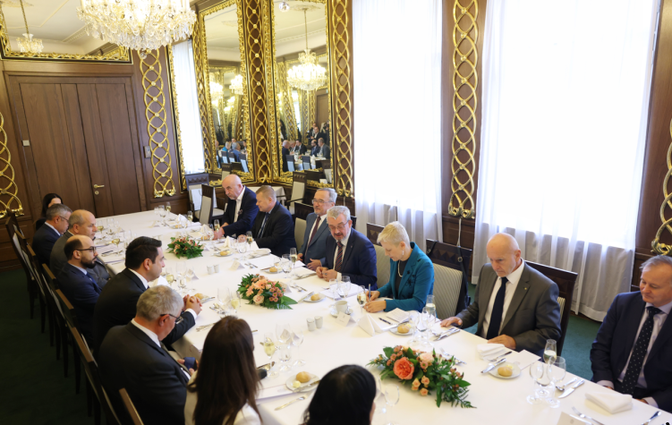 Ալեն Սիմոնյանը Չեխիա-Հայաստան բարեկամական խմբի նախագահի հետ հանդիպմանը անդրադարձել է ռազմագերիների խնդրին