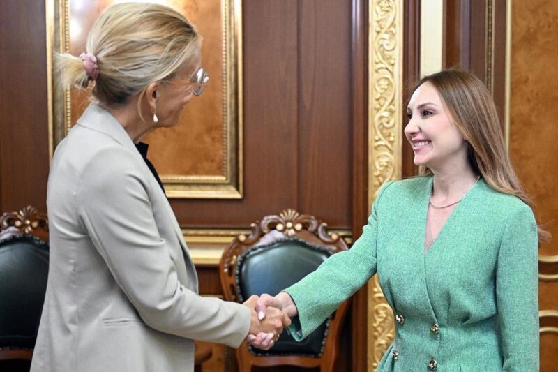 Լիլիթ Մակունցը ու ՄԱԿ-ի ներկայացուցիչը քննարկել են COP17-ի անցկացման մանրամասները