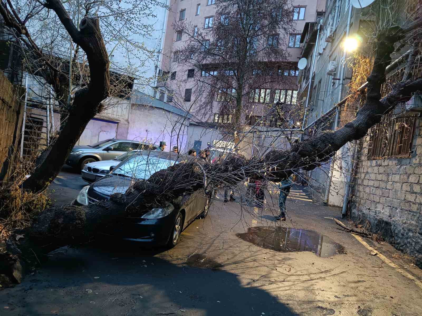 Երևանի Սպենդիարյան փողոցի շենքերից մեկի բակում ծառ է ընկել ավտոմեքենայի վրա