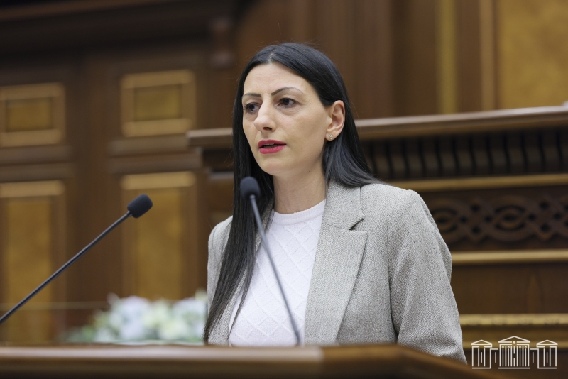ԱԺ-ն քննարկում է ՀՀ մարդու իրավունքների պաշտպանի 2024 թ. գործունեության վերաբերյալ տարեկան հաղորդումն ու զեկույցը