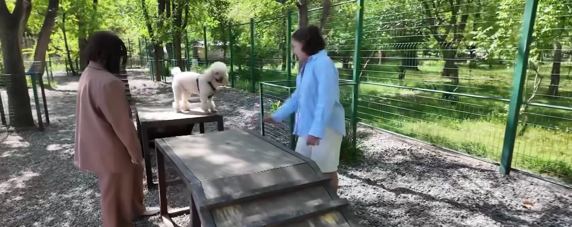 Երևանում ընտանի շների համար կառուցվել են հատուկ զբոսայգիներ (տեսանյութ)