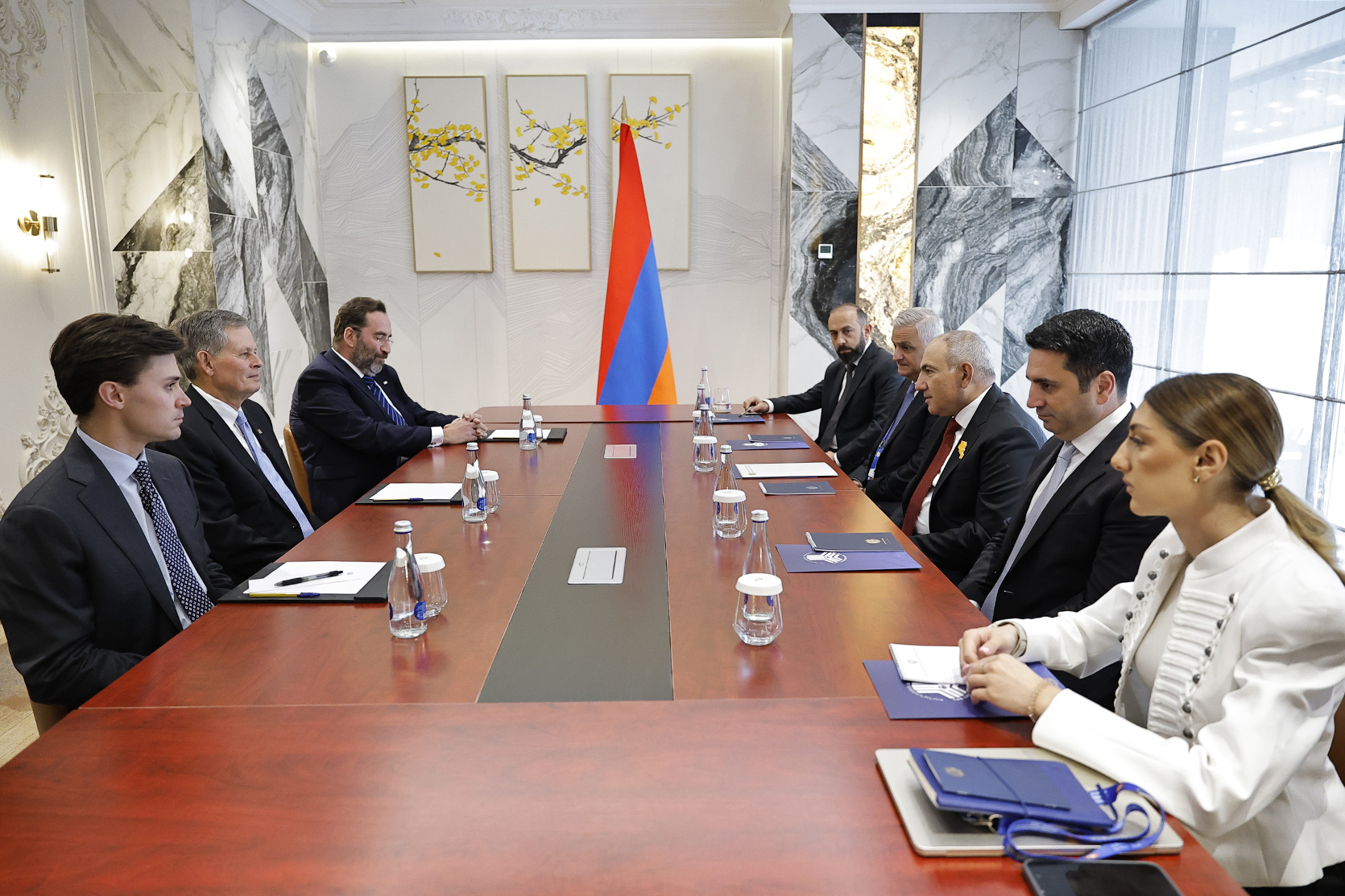 Վարչապետը հանդիպում է ունեցել ԱՄՆ սենատոր Սթիվ Դեյնզի հետ