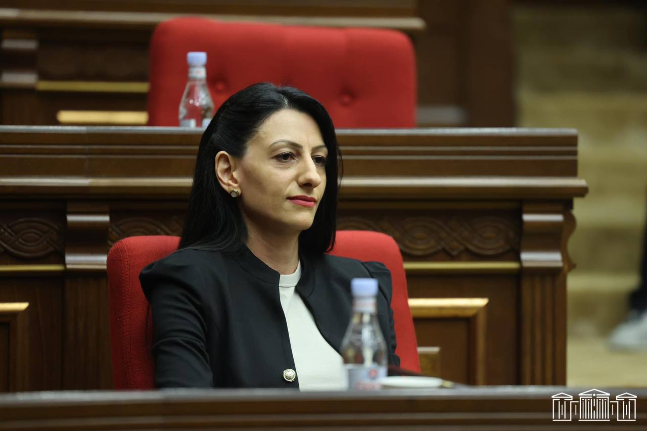 Ձգտելու եմ ՄԻՊ ինստիտուտը դարձնել հարթակ՝ հանրային հանդուրժողականության և համերաշխության հասնելու ճանապարհին․ ՀՀ ՄԻՊ