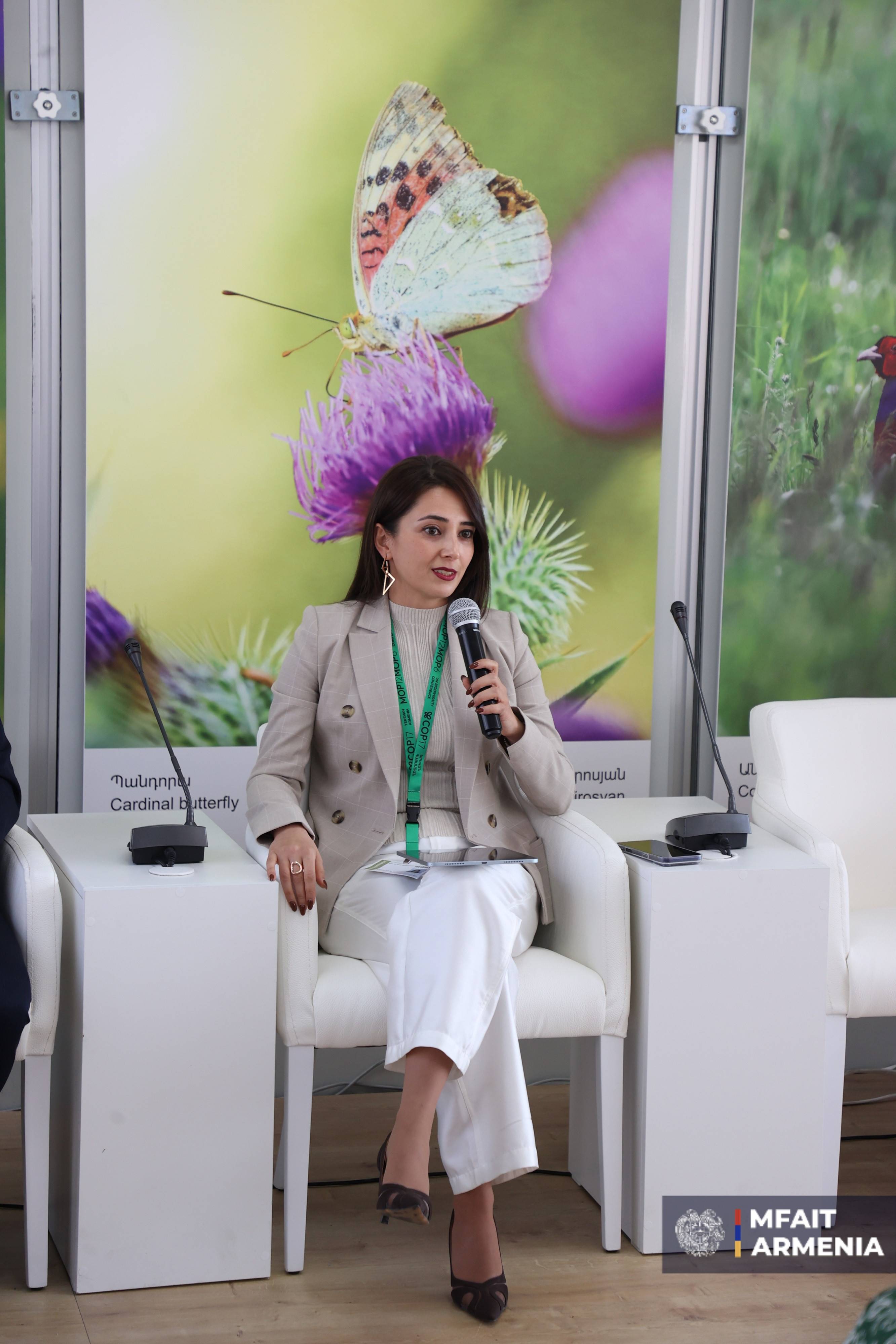 Բադալյանը ներկայացրել է COP17-ի ՀՀ նախագահության առաջնահերթությունների կյանքի կոչման նպատակով թափանցիկության ապահովման հարցում ՀՀ մոտեցումները