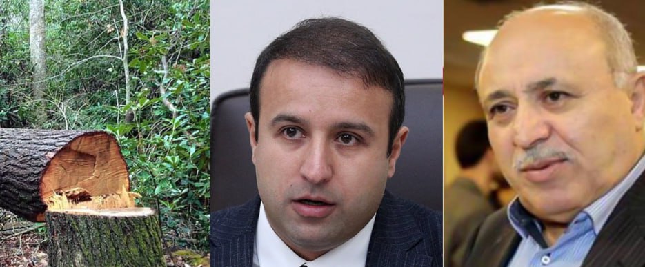 ՔՊ-ում Հայկ Սարգսյանին «մեղադրում են» փայտանյութի բիզնեսի հետաքրքրության համար. «Ժողովուրդ»