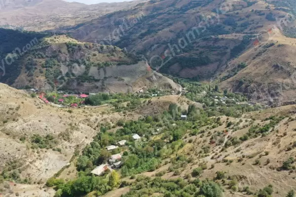 Վայոց ձորի մարզում արջը հոշոտել է գյուղացուն պատկանող ցլիկին