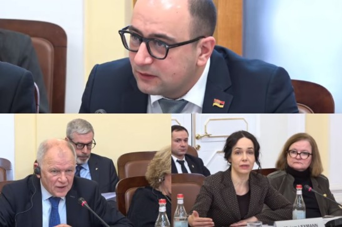 «ՀՀ-ն ԵԱՏՄ անդամ է, և դուք «ամուսնացածի» եք մոտեցել, նախ մենք պետք է «ամուսնալուծվենք»». Մամիջանյանին ԵՄ պատվիրակներն արձագանքեցին, որ հայ ժողովուրդը պետք է որոշի