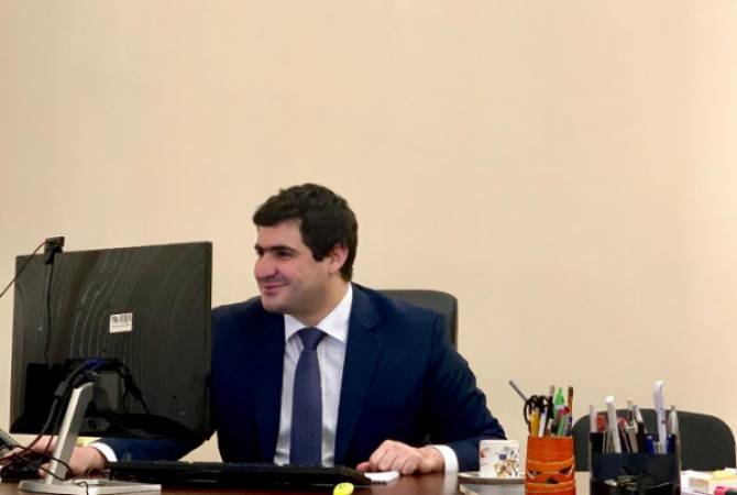 Արման Եղոյանը առցանց հանդիպում է ունեցել ԵՄ ներկայացուցիչների հետ