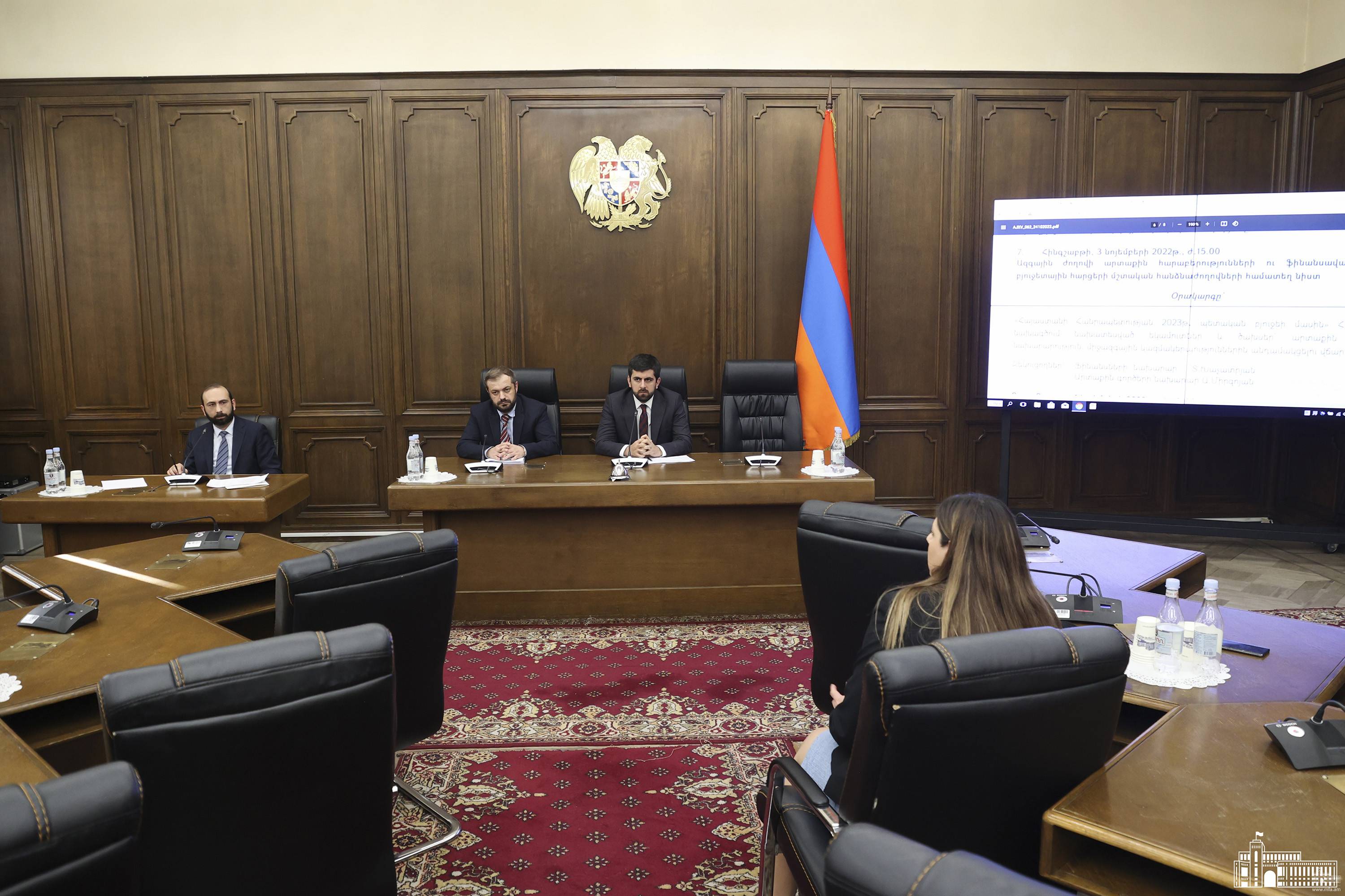 Միրզոյանի պատասխաններն ԱԺ պատգամավորների հարցերին` մշտական հանձնաժողովների համատեղ նիստի ժամանակ (ամբողջական)