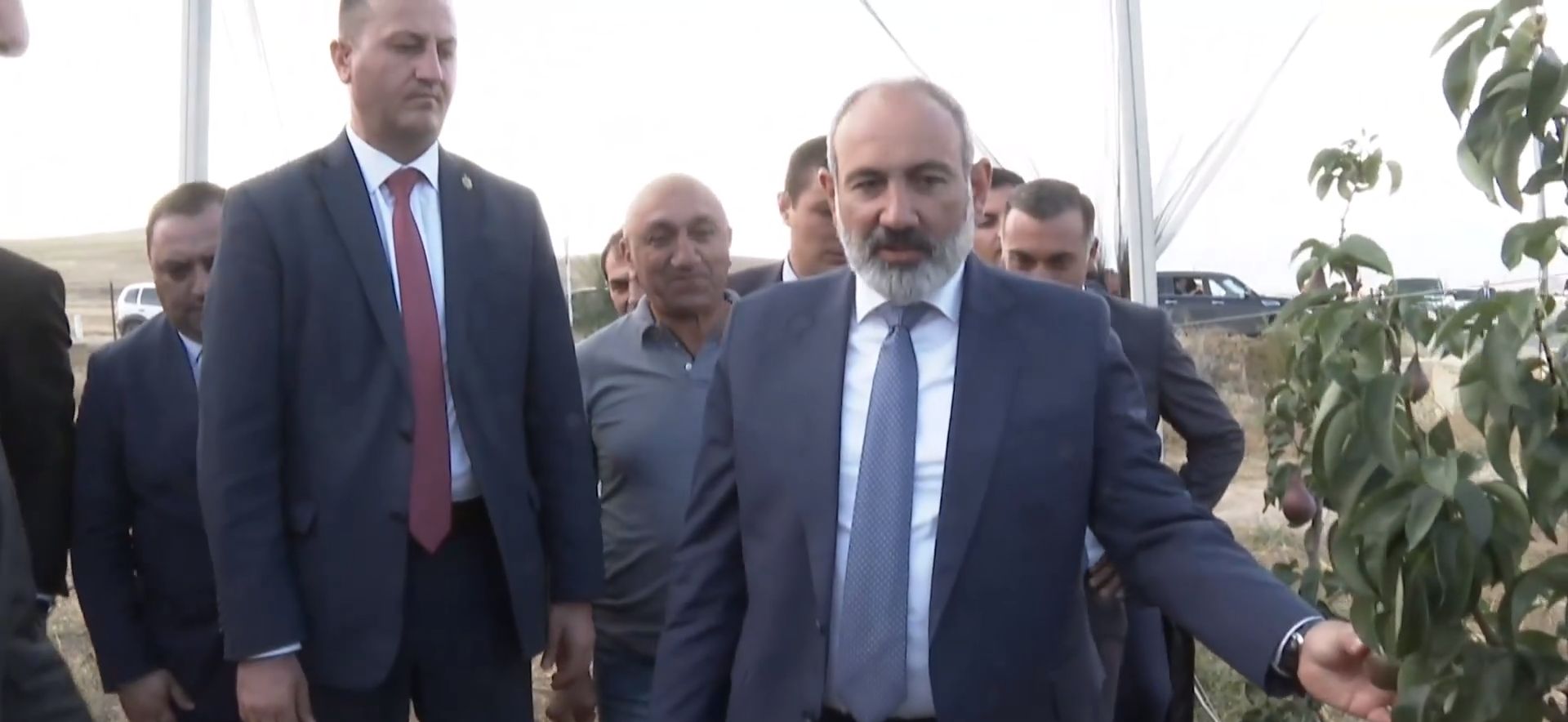Սիսիանում այցելեցի 202 մլն դրամ ներդրումային ծրագրով հիմնված ինտենսիվ այգի. Փաշինյան (տեսանյութ)