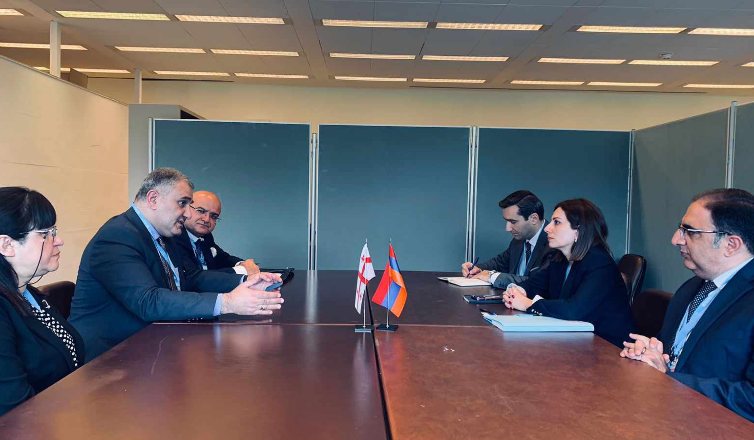Իրանի առողջապահության նախարարի հետ քննարկվել են աշնանը ՀՀ-ում սպասվող դեղագործական երկկողմ ցուցահանդեսի մանրամասները