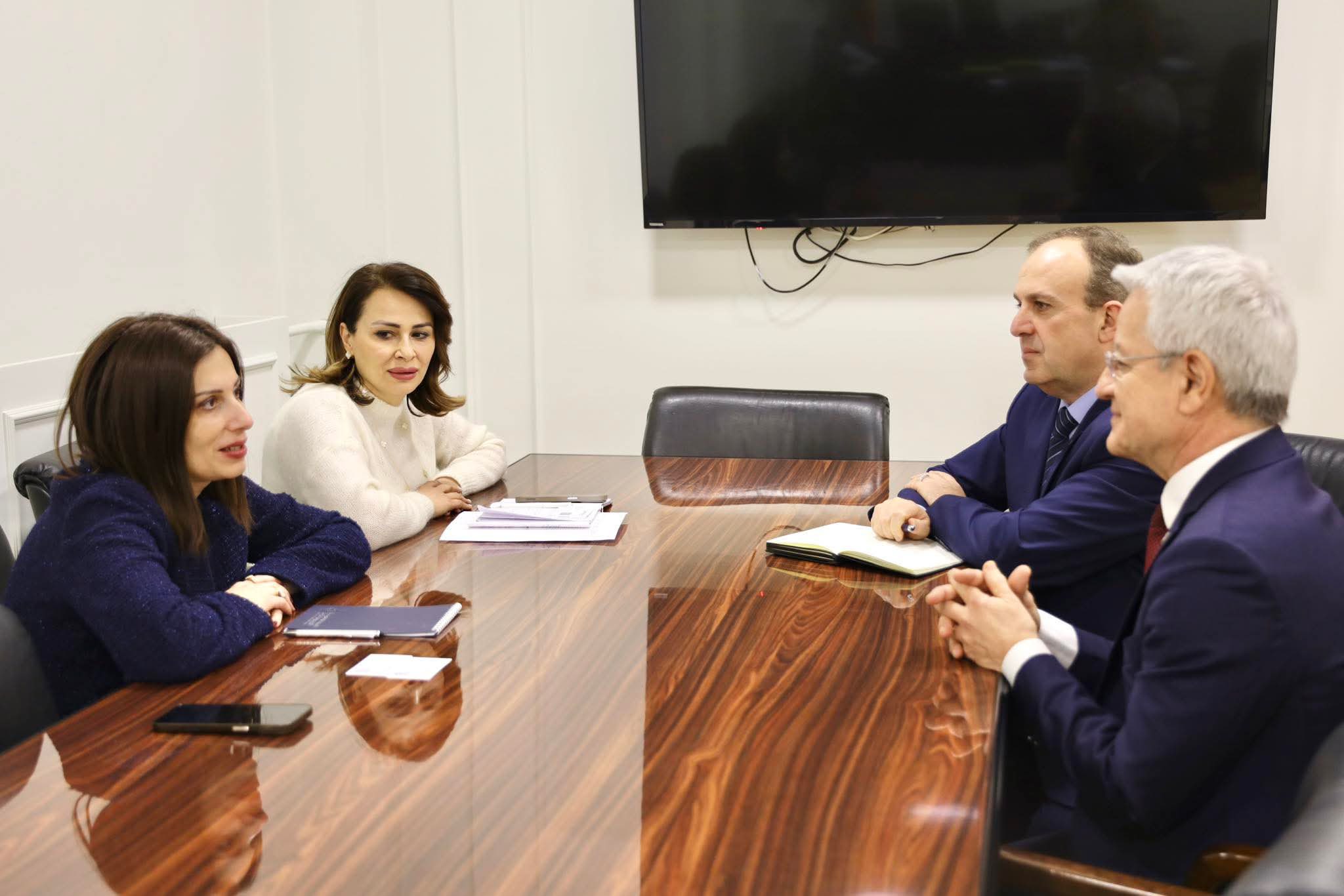 Ավանեսյանն ընդունել է «Սեղվիե» միջազգային դեղագործական ընկերությունների խմբի ներկայացուցիչներին
