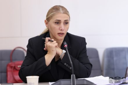 Իշխող ուժի ամբողջ քարոզարշավը կառուցվում է «կդատեմ», «կբռնենք», «չենք թողնի, որ հայտնվեն խորհրդարանում» արտահայտություններով, Փաշինյանն իրեն դրել է քննիչի, դատախազի տեղ․ Վարդանյան