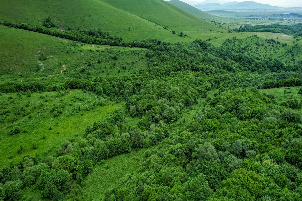 «Հայանտառ»-ն անտառածածկ տարածքներն աղբից մաքրելու միջոցառում կանցկացնի