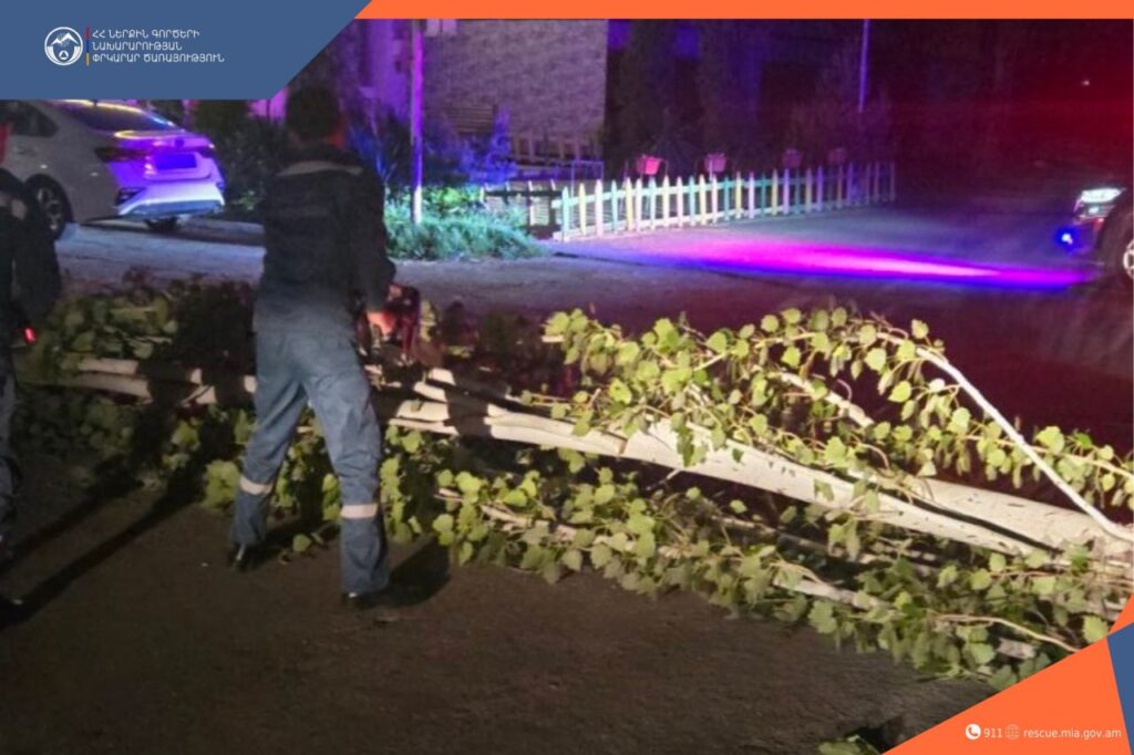 Ուժեղ քամուց ծառը կոտրվել և ընկել է Արտաշատի Երևանյան խճուղում