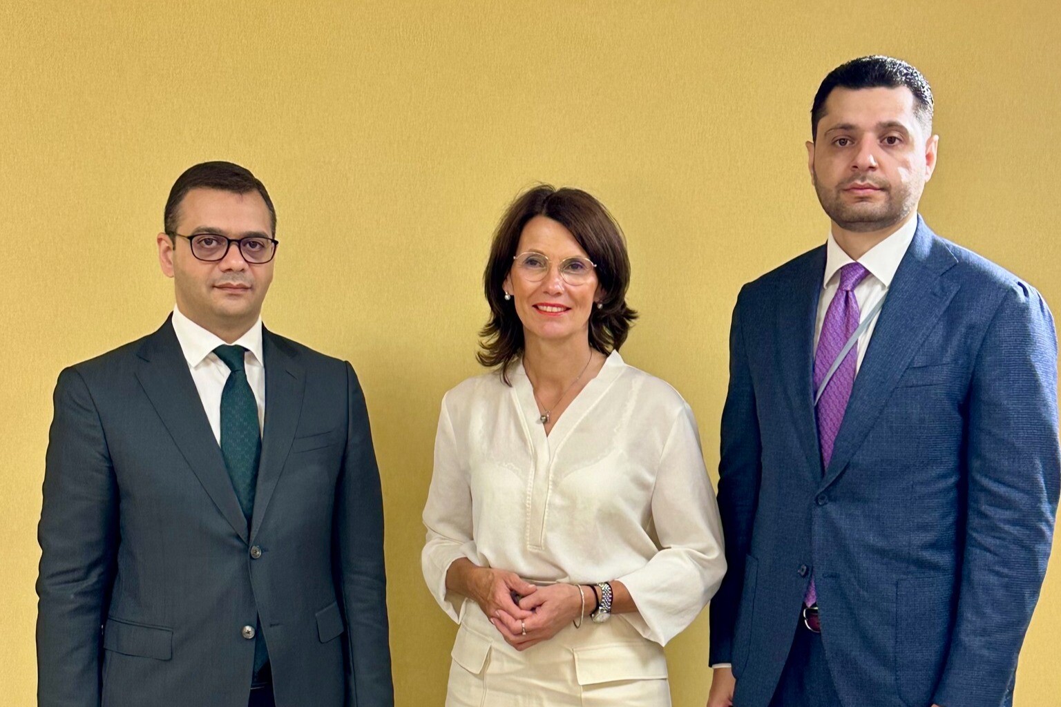 Ռոբերտ Աբիսողոմոնյանը և Ռիտա Շվարցելյուր-Զուտտերն անդրադարձել են ՀՀ-ում կայանալիք COP17-ի նախապատրաստական աշխատանքներին