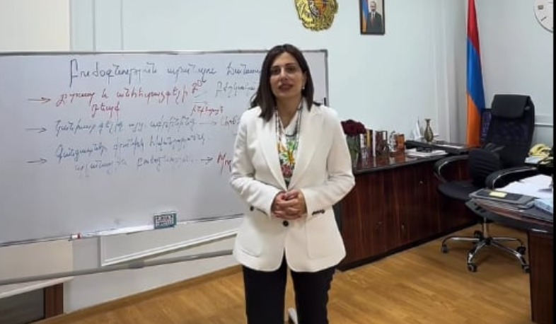 Բուժօգնություն ստանալու ճանապարհը. Ավանեսյանը մանրամասնել է համընդհանուր ապահովագրության կարգը