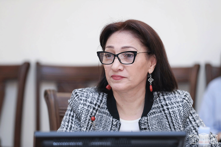 Արցախից տեղահանվածների սոցիալ-իրավական խնդիրները պահանջում են հետևողական լուծումներ. Լիլիթ Գալստյան