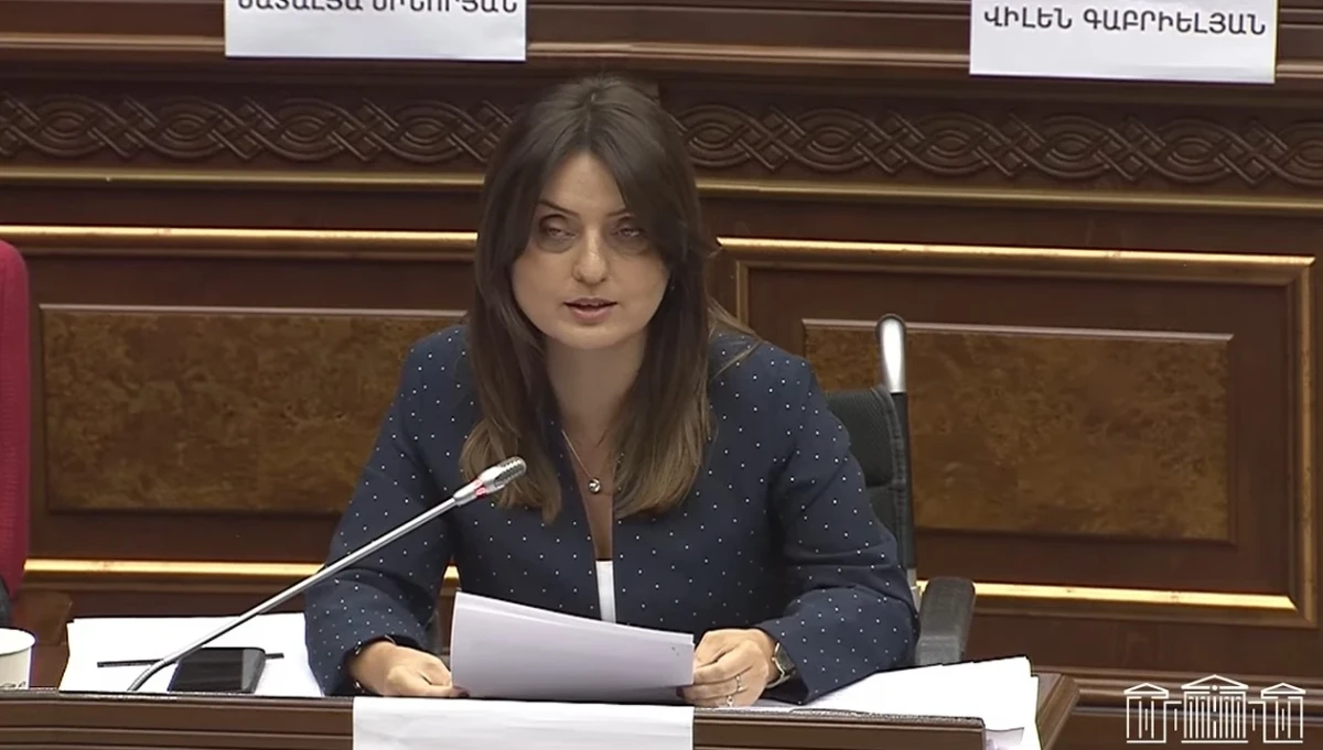 Կբարձրանա ընտանեկան և կենցաղային բռնության ենթարկված անձանց պաշտպանության արդյունավետությունը․ նախագիծ