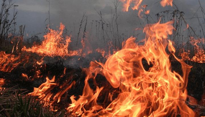 Բազումի լեռնաշղթայի գագաթներից մեկի վրա շուրջ 25 հա խոտածածկույթ է այրվում