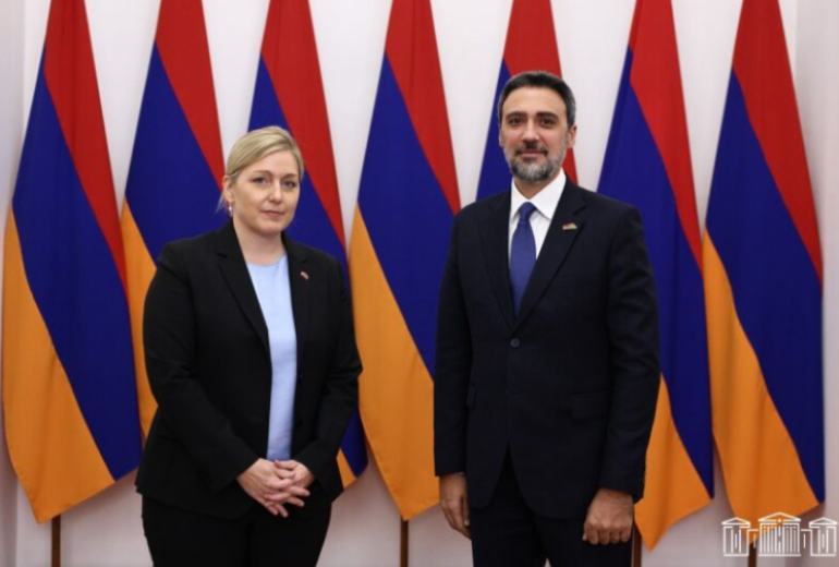 Վարդևանյանը Շվեյցարիայի դեսպանին է ներկայացրել Հայաստանի ներքաղաքական իրավիճակը