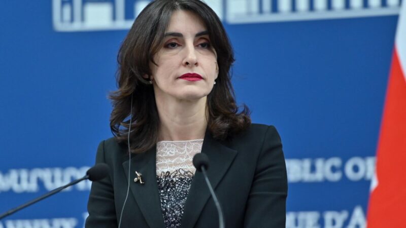 Հայաստանի, Ադրբեջանի և Թուրքիայի հետ մեր հարաբերությունները մեզ համար շատ արժեքավոր են. Բոճորիշվիլի