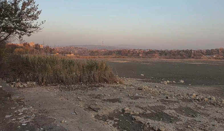 Երևանյան լճի մաքրման ծրագրի շրջանակում 8 հա-ից ավելի եղեգ է հանվել