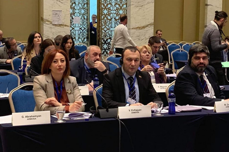 Армянская делегация в ПА Евронест провалила азербайджанскую инициативу по поднятию вопроса о закрытии Мецаморской АЭС
