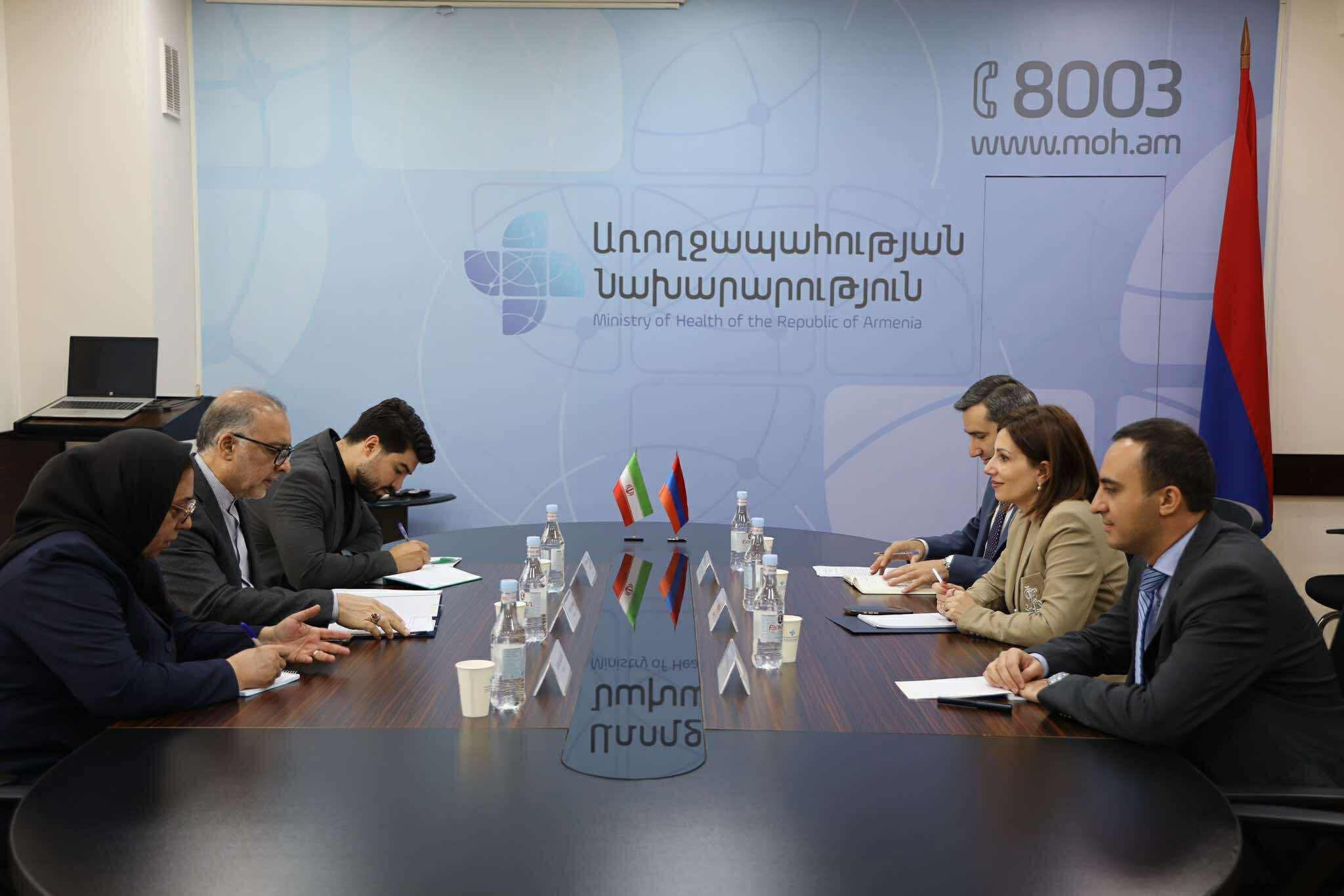 Ավանեսյանն ու ՀՀ-ում Իրանի դեսպանը քննարկել են համագործակցության ուղղությունները