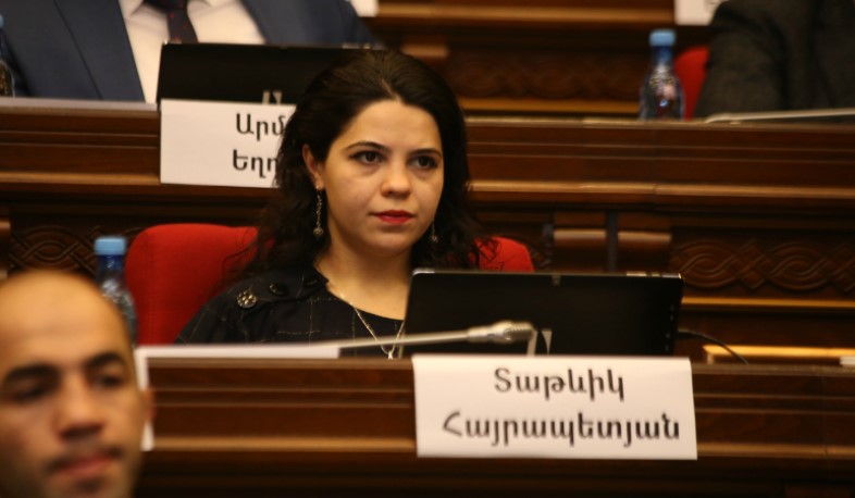Հայկական բնակավայրերի ոչնչացման քաղաքականությունը և հայ ռազմագերիներին վերադարձնելու հարցի ձգձգումը միտված չեն խաղաղ կայունության կառուցմանը. Հայրապետյան