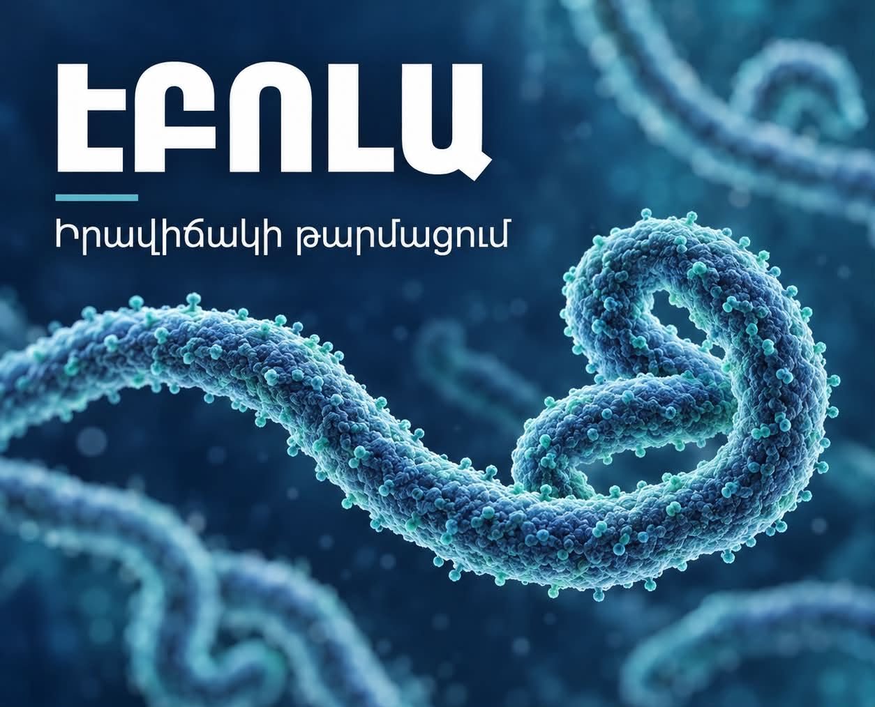 Հայաստանի համար Էբոլայի ներմուծման և հետագա տարածման ռիսկը գնահատվում է ցածր