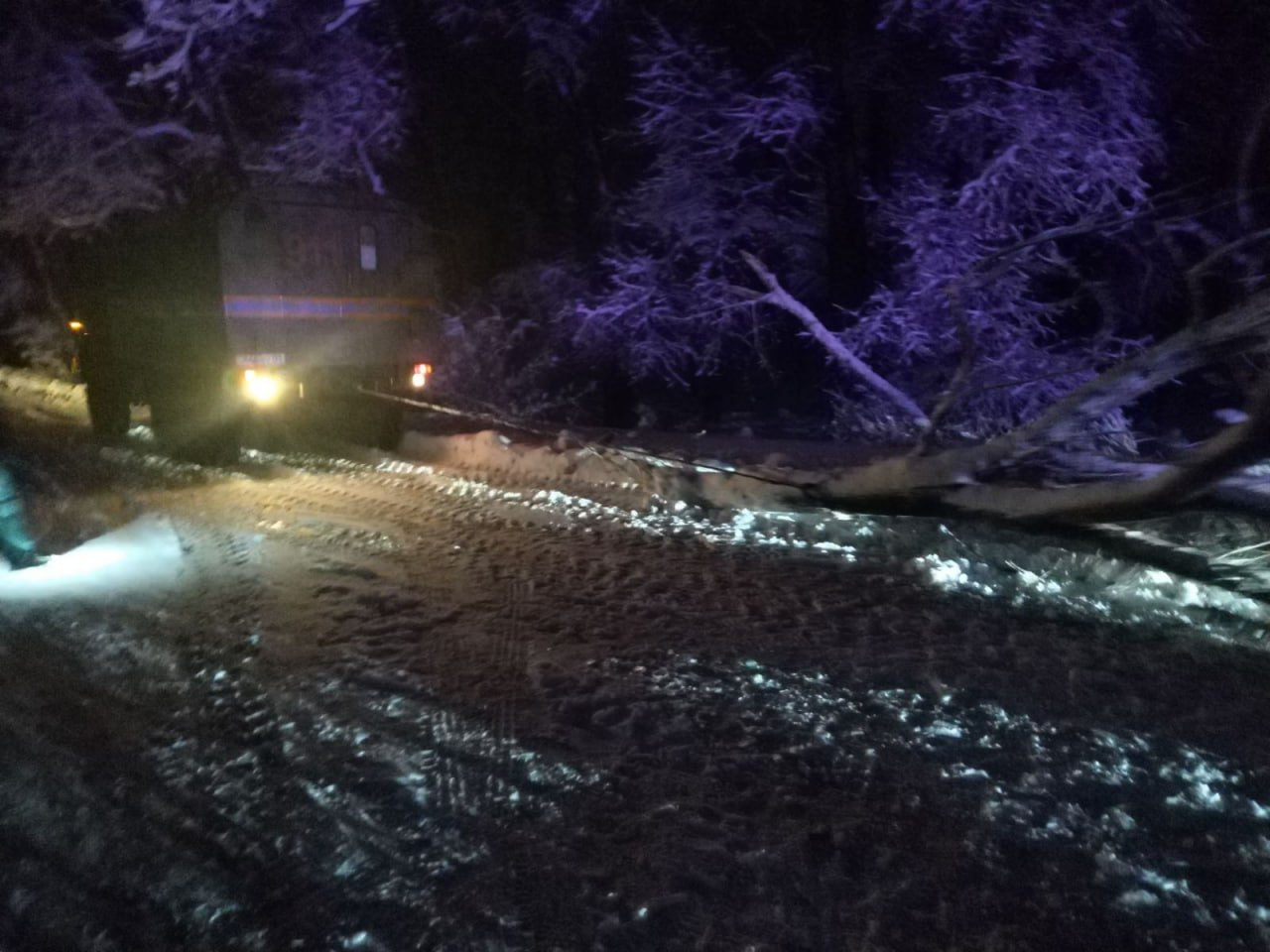 Մարտունի-Գավառ ավտոճանապարհին առատ ձյան պատճառով ծառը կոտրվել և ընկել է ճանապարհի երթևեկելի հատված