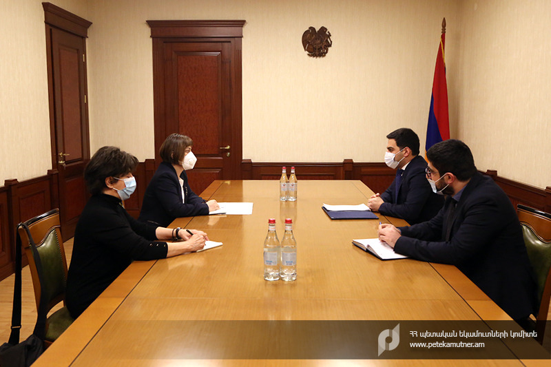 Ռուստամ Բադասյանը ՄԱԿ-ի ներկայացուցչին ներկայացրել է ՊԵԿ-ի՝ առաջիկա տարիների բարեփոխումների օրակարգը