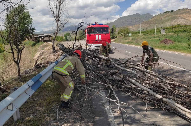 Երևան-Մեղրի ավտոճանապարհին ծառի բունն այրվել է, այն ընկել է՝ ճանապարհը դարձնելով միակողմանի երթևեկելի