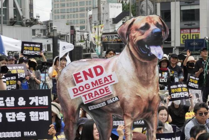 Հարավային Կորեայի խորհրդարանն արգելել է շան մսի վաճառքը