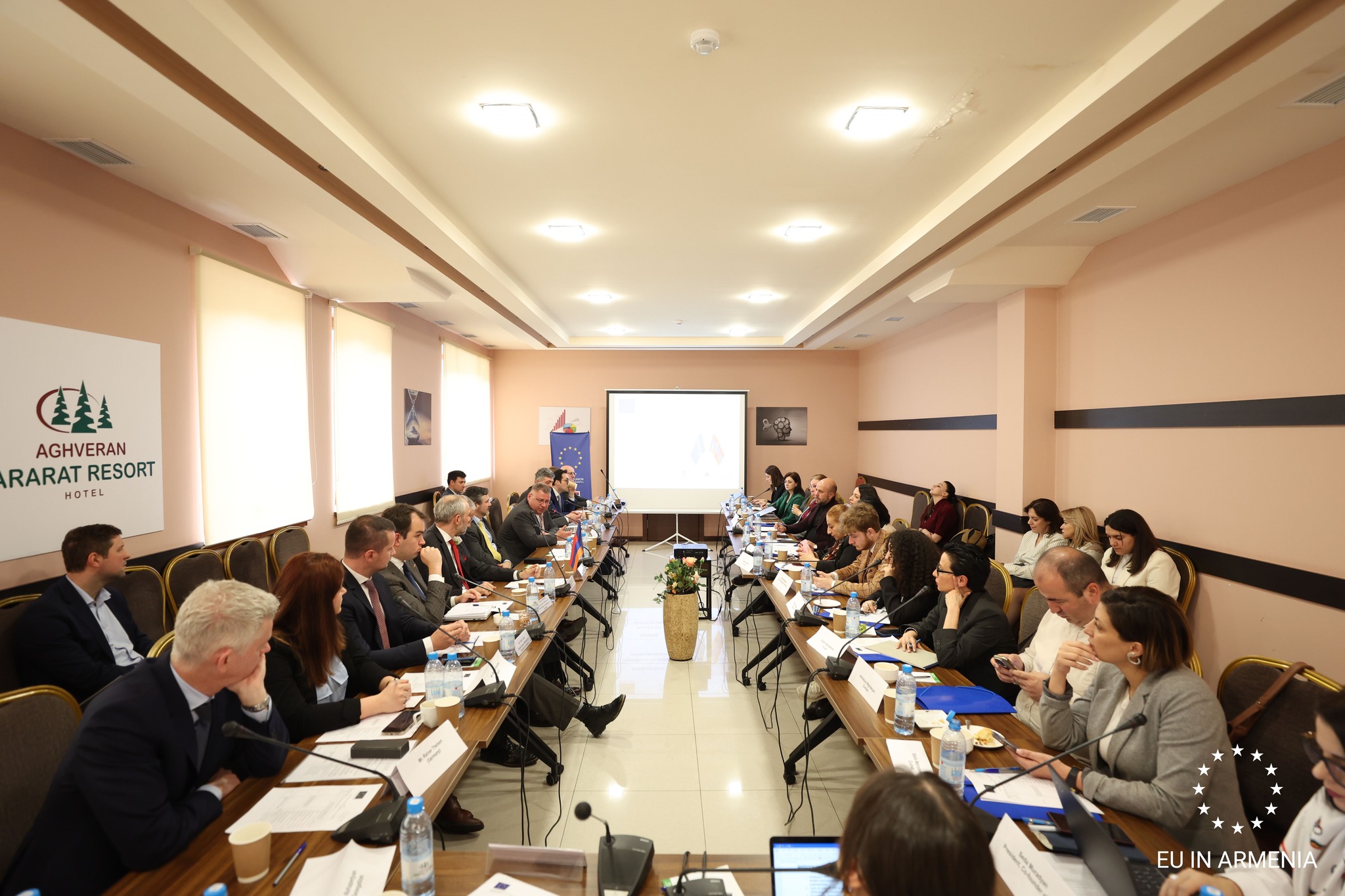 Քննարկվել է ԵՄ-Հայաստան ռազմավարական գործընկերության օրակարգը և վիզաների ազատականացման շուրջ երկխոսությունը