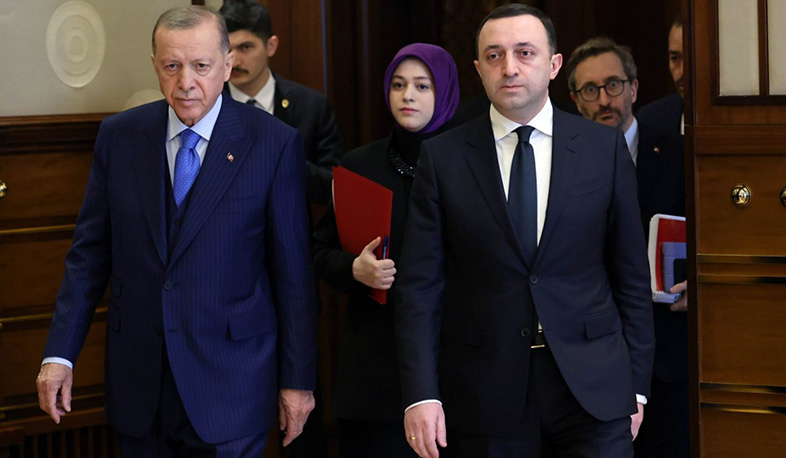 Վրաստանը, վրացի ժողովուրդը կանգնած են Թուրքիայի և թուրք ժողովրդի կողքին. Ղարիբաշվիլի