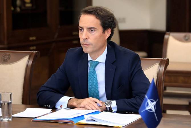 ՆԱՏՕ-ն կոչ է անում անհապաղ դադարեցնել ռազմական գործողությունները