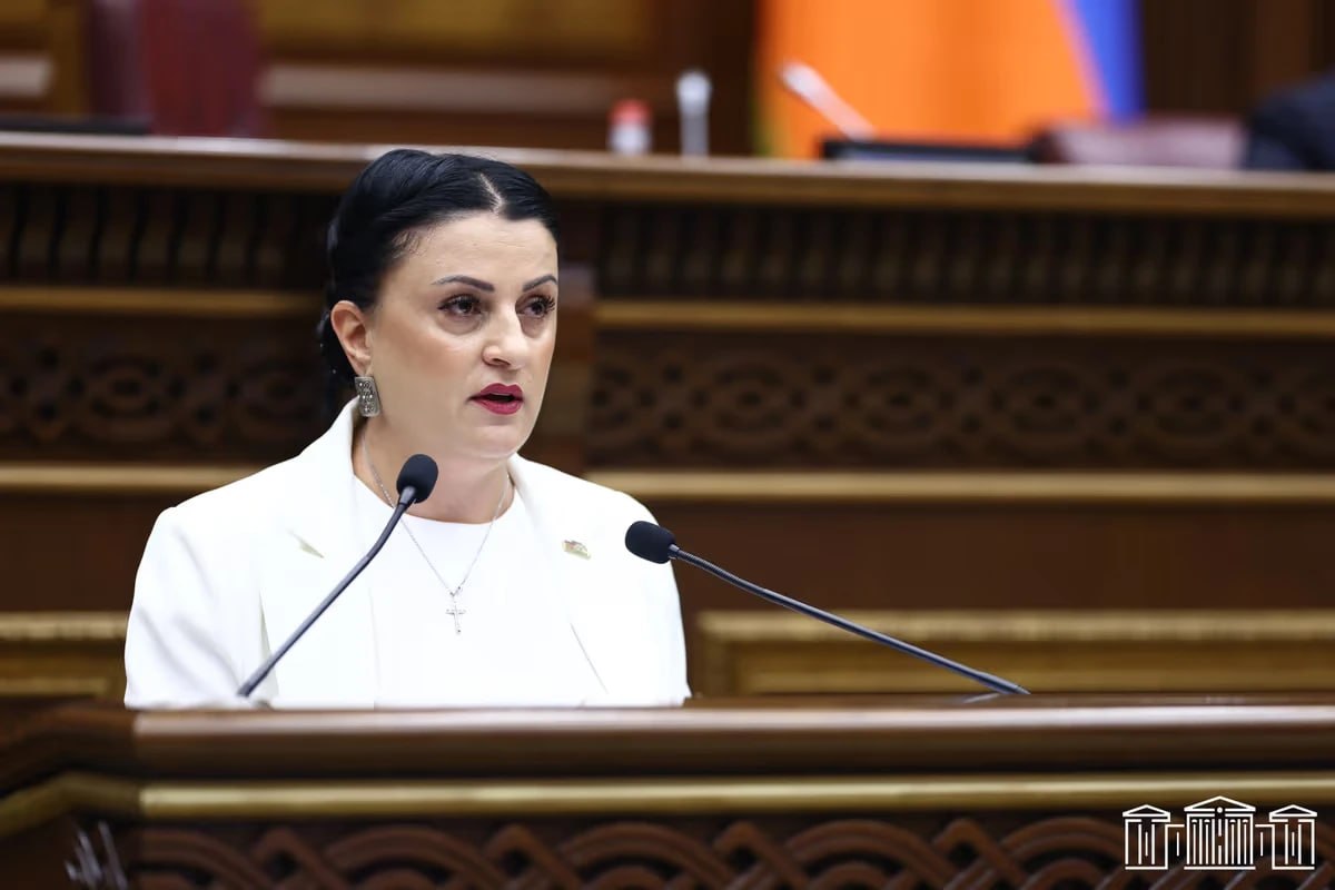Իրինա Յոլյանը չընտրվեց Տարածքային կառավարման և շրջակա միջավայրի պահպանության հարցերի մշտական հանձնաժողովի նախագահ