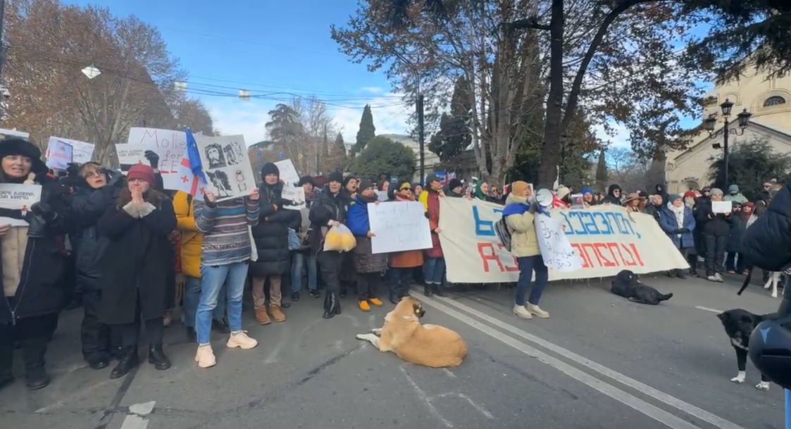 «Բաց թողեք, իմ երեխան է». մայրերի երթ՝ Թբիլիսիում