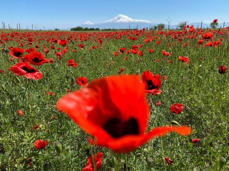 Օդի ջերմաստիճանը կբարձրանա․ առանձին շրջաններում սպասվում է անձրև